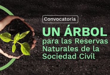 El Minambiente abrió una convocatoria para nuevas Reservas de la Sociedad Civil en el marco del proyecto para sembrar más de un ´millón de árboles. Foto: minambiente.gov.co MinAmbiente, Reservas Naturales de la Sociedad Civil, convocatoria, riqueza natural, conservación, áreas protegidas, SINAP, ecosistema natural, sustentabilidad, Recursos Naturales, Cultura, patrimonio, preservación, restauración, semillas, propagación, material vegetal, Siembra, mantenimiento, compensacion, biodiversidad, inversiones, pago de servicios ambientales, impuesto predial, renta, ecoturísticos, Ganadería, ganadería colombia, noticias ganaderas colombia, CONtexto ganadero