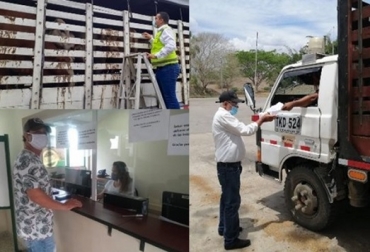 Una vez superada esta situación, los soportes de los registros de vacunación correspondientes al segundo ciclo de 2021, serán entregados a los ganaderos por parte de las Organizaciones Ejecutoras Ganaderas Autorizadas de la región. Foto Fedegán Ganadería, ganadería colombia, noticias ganaderas, noticias ganaderas colombia, CONtexto ganadero, dane ataque cibernetico 2021, dane ataque cibernetico colombia, hackeo dane, RUV, Registro Único de Vacunación, descargar registro único de vacunación, ruv de vacunación, registro de vacunación colombia, copia del ruv registro único de vacunación del último ciclo vigente, descargar registro único de vacunación fedegán, descargar registro único de vacunación ica, Ciclo de Vacunación, ICA, FNG