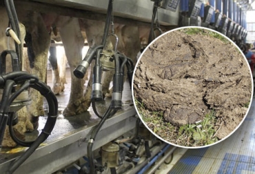 Para el experto, en el manejo del estiércol es clave tener tanque estercolero, pues este permite usar este material en sistema pastoril. Foto: pixabay.com - agronewscastillayleon.com ganadería, ganadería colombia, noticias ganaderas, noticias ganaderas colombia, contexto ganadero, biodigestores, manejo de estiercol, manejo de estiercol bovino, estiercol de bovinos, materia organica, manejo del estiercol de bovinos en fincas, diseño de biodigestores