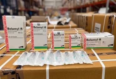El producto es uno de los más reconocidos en el mercado por sus bondades como reconstituyente. Foto: Cortesía. Ganadería, ganadería colombia, noticias ganaderas, noticias ganaderas colombia, CONtexto ganadero, Elanco, belamyl, belamy r, como se usa belamyl r, como utilizar belamyl r, para que sirve belamyl r, belamyl r elanco, reconstituyentes, reconstituyentes para el ganado