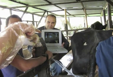 El uso de un ecógrafo en un hato facilita conocer datos reproductivos que van en beneficio del negocio. Foto: infonegocios.com.py La ecografía en una ganadería bovina permite tener datos más precisos.