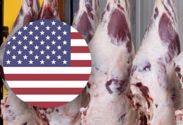 Colombia quiere reemplazar el mercado de Rusia por el Estados Unidos, teniendo en cuenta la situación que está viviendo el mundo actualmente. Foto: agroinformacion.com - nicepng.com carne colombia exportaciones estados unidos