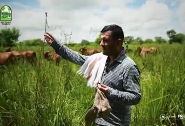 Basado en el lema filosófico de nuestras giras 'aprendiendo de los que saben, aprendiendo de los mejores', Fedegán-FNG dará a conocer la experiencia de 8 ganaderías selectas que han aplicado los sistemas silvopastoriles intensivos (SSPi) y realizan esquemas totalmente sostenibles. Foto: Fedegán-FNG Gira Técnica Ganadera Virtual de Fedegán - FNG