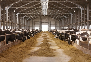 De acuerdo al manual, la forma ideal de llamar una finca es catalogándola como sistema productivo. Foto: dicyt.com Sistema productivo o explotación ganadera ¿cómo llamarlo correctamente?