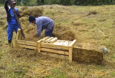 La henificación es una de las alternativas recomendadas para conservar alimento para el ganado para las temporadas secas. Foto: captura de pantalla Proceso manual de henificación