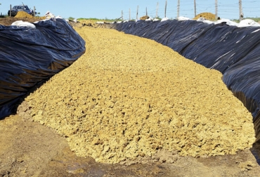 Como todo subproducto, los residuos de cebada o cervecería húmeda presentan ventajas e inconvenientes a la hora de alimentar al ganado. Foto: es.tecnologianocampo.com.br residuos de la cerveceria en la alimentacion de las vacas