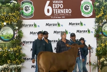 Durante Exporteneros se hizo un reconocimiento al trabajo que ha venido realizando Colombia con las razas angus y brangus. Foto: Captura de pantalla Premiación Exporteneros