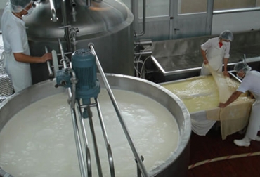 Conozca en este artículo cuáles son algunas de las etapas y factores que influyen en la contaminación biológica de la leche o los productos lácteos. Foto: alimentaria.com.py contaminacion de productos lacteos