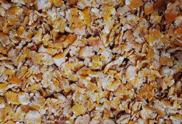 Investigadores en EE. UU. descubrieron que alimentar al ganado con maíz cocido al vapor redujo significativamente las emisiones de metano entérico. Foto: uruzamerica.com hojuelas de maiz para bovinos disminuyen el metano