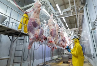 El gobierno de Estados Unidos se encuentra en la disposición de darle celeridad a la admisibilidad sanitaria de la carne de res, con la cual concedería la apertura comercial para las exportaciones de carne colombiana. Foto: colbeef.com visita de inspección técnica y sanitaria