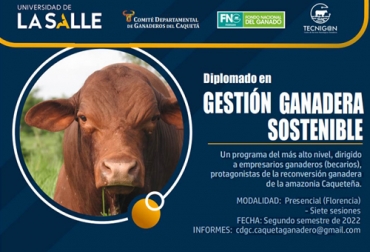 El diplomado en gestión ganadera sostenible que se realizará en Caquetá es una oportunidad para incrementar los conocimientos y poner en práctica recomendaciones. Foto: Cortesía Promoción diplomado en gestión ganadera sostenible