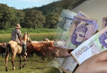 El experto dice que para el manejo financiero de la finca se deben tener claro unos conceptos claves de indicadores básicos. Foto: elcolombiano.com - contextoganadero.com Manejo financiero de la finca