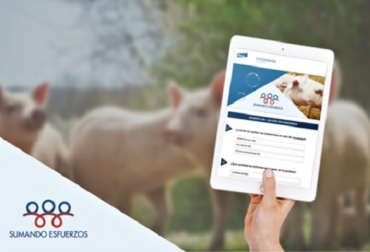 Conozca los puntos esenciales a tener en cuenta para que el proceso de retirada del ZnO sea un éxitoFoto: Elanco Sumando esfuerzos, retiro de óxido de zinc de las granjas porcinas