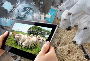 El experto dice que la cuarta revolución industrial puede llegar a la ganadería, pero que primero hay que cambiar el concepto tradicional en la familia rural con implementación de sistemas tecnológicos. Foto: contextoganadero.com Cuarta revolución industrial a la ganadería
