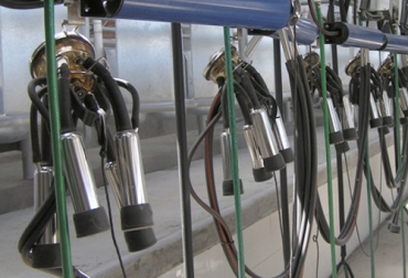 El mantenimiento preventivo de los equipos de ordeño debe ser una práctica común para no tener problemas con la producción lechera. Foto: ganaderia.com Equipos de ordeño