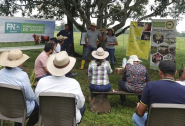 Ganaderos de Arauca expresaron su interés en avanzar con la implementación de sistemas silvopastoriles en sus fincas. Foto: Cortesía Ganaderos participantes en gira por Arauca