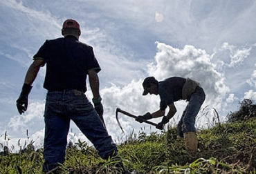 Los productores que desean hacer uso del desembolso deben estar registrados como pequeños productores. Foto agronegocios.uniandes.edu.co agricultores pueden obtener devolución del 20% en la compra de insumos,