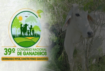 Durante el Congreso Nacional de Ganaderos se abordarán diversos temas que han sido polémicos por haber tejido mitos alrededor de la ganadería que no corresponden a la realidad. Foto: Fedegán FNG Afiche promocional Congreso Ganadero