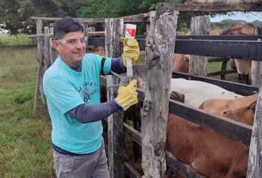 Campana de vacunación contra la fiebre aftosa y brucelosis 2do ciclo de 2022. Campana de vacunación contra la fiebre aftosa y brucelosis 2do ciclo de 2022. Foto: Fedegán