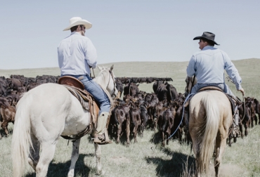 Conozca la historia y las prácticas de una ganadería en el estado de Nebraska (Estados Unidos) con 110 años que comenzó a comercializar su propia carne. Foto: birdwoodbeef.com granja de 110 años que produce su propia carne