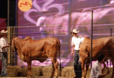 El pabellón 17 de Corferias será el espacio para juzgamientos. Foto: Agroexpo. Agroexpo Bogotá.