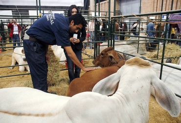 Se espera que 200 mil personas participen en la XIX versión de Agroexpo. Foto: Unimedios. Agroexpo Colombia