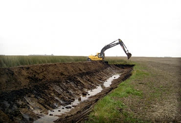 Si usted evita los excesos de sal en el suelo, no afectará la producción de forrajes. Foto: Cortesía. Exceso de agua en el suelo