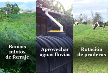 Las capacitaciones que ofrece Fedegán en todo el país ayudan a los ganaderos. Foto: CONtexto Ganadero. ahorrar dinero durante la sequía