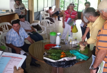 Elementos como mortero y plantas como la caléndula, pueden servir para elaborar una pomada y aliviar de forma natural alguna dolencias de las reses. Foto: Héctor Pachón / Fedegán. Alelopatía