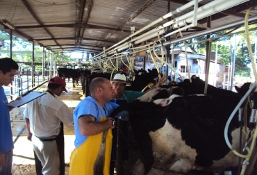 En este momento son beneficiarios más de 650 productores de 10 departamentos. Foto: www.revistaproagro.com. Plataforma ganadera Unaga fedegán