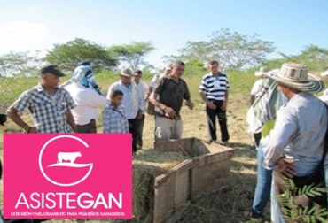 Los pequeños ganaderos de Colombia que tienen entre 10 y 100 animales son los beneficiados. Foto: CONtexto Ganadero. Asistegán