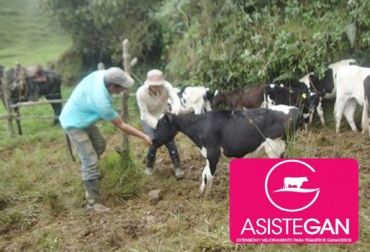 En cada ALE, son 56 productores los que participan de 18 meses de trabajo. Foto: CONtexto Ganadero. Asistegán Lácteo Express