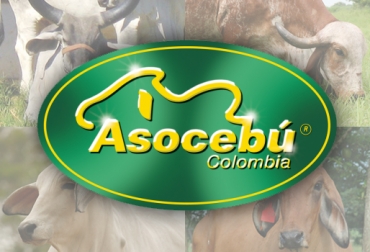 La asamblea tendrá lugar el próximo 21 de marzo. Foto: CONtexto ganadero / Asocebú. Asamblea Asocebú