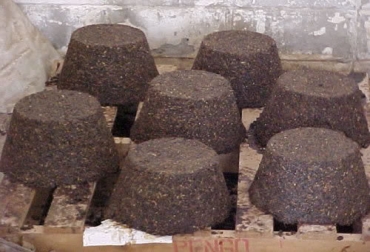 Proteínas, carbohidratos y minerales son los principales componentes de los bloques. Foto: Engormix. Bloques multinutricionales