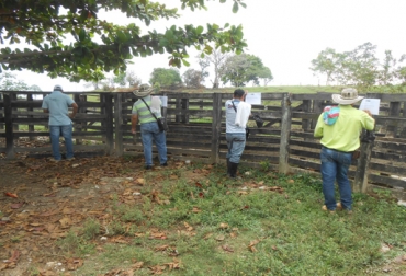 En Puerto Nare, Antioquia, 31 ganaderos asistieron al taller impartido por el gremio bovino. Foto: CONtexto Ganadero. Buenas Prácticas Ganaderas