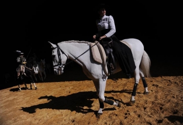 Un jinete sobre su caballo en el Salón Internacional del Caballo de Pura Raza de Sevilla, el 6 de diciembre de 2014 . Foto: AFP. evolución del caballo