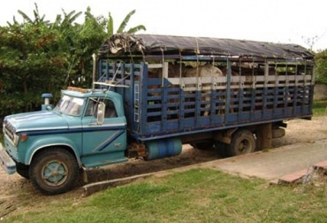 Este 2013 fue para los ganaderos de la Guajira, Norte de Santader y Arauca un año con altos índices de contrabando de ganado. Foto: Fedegán-FNG. Contrabando de ganado en Colombia y Venezuela