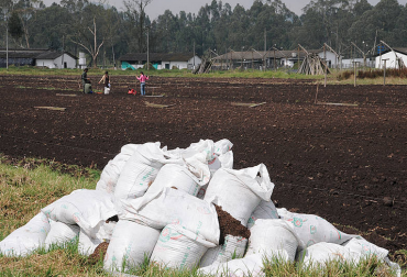 El proyecto de investigación consiste en la producción de insumos y la evaluación de suelos posterior a la adición de abonos. Foto: Unal. Abonos orgánicos líquidos