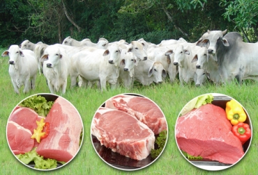 La visita de Oficiales de Servicios Veterinarios del APHIS de Estados Unidos a predios y frigoríficos de Córdoba se aplazó para febrero próximo. Foto: CONtexto Ganadero. carne colombiana