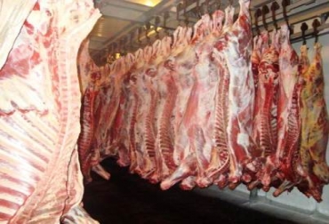 Desde el gremio bovino, se busca fortalecer el marco normativo para que el sacrificio clandestino se tipifique como delito. Foto: Ica. Carne en canal