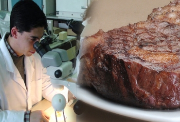Cualquier agente contaminante sería eliminado del proceso con esta tecnología. Foto: CONtexto Ganadero. Eliminar en laboratorio contaminación en cárnicos