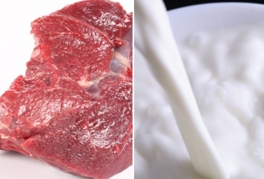 Colombia y Estados Unidos tienen vigente un Tratado de Libre Comercio, TLC, desde 2012. Foto: CONtexto Ganadero. importaciones de carne y lácteos Colombia