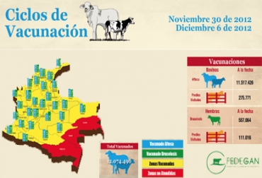 El ciclo de vacunación se realiza con éxito en todo el país Los resultados del ciclo de vacunación cumplen las expectativas iniciales