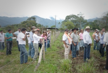 A la fecha, Colombia cuenta con 57 Círculos gracias al trabajo del gremio bovino. Foto: CONtexto Ganadero. Círculo de excelencia Fedegán.