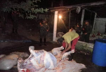 Con la divulgación de estas normas, la Dicar reafirma el compromiso de proteger al gremio bovino. Foto tomada de gironcity.com. Sacrificio clandestino