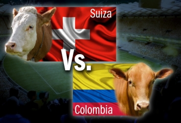 Recuerde que el plazo para votar por estas razas vence el 13 de julio. Foto: CONtexto ganadero. Mundial ganadero CONtexto ganadero final