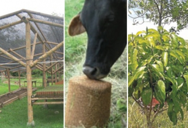 Ganadería colombiana sostenible, una lectura obligatoria para todo aquel que quiere mejorar sus índices productivos. Foto: CONtexto ganadero. blog de ganandería colombiana sostenible