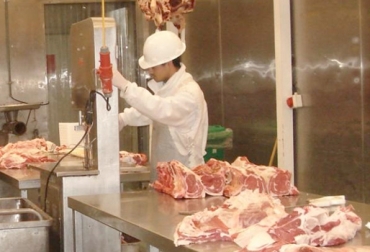 De acuerdo con Asoporcicultores, el beneficio animal legal está en el 75 %. Foto: Cortesía. comité de vigilancia de centrales de sacrificio animal