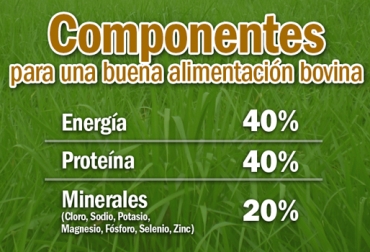 Estos son los componentes básicos de toda nutrición bovina. Foto: CONtexto Ganadero. componentes nutricionales para el ganado