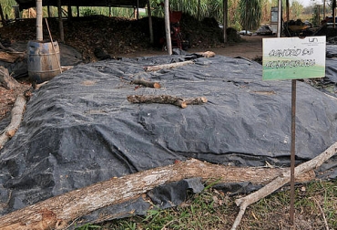 De acuerdo con expertos, en 15 días podría tenerse un compostaje óptimo para mejorar la condición del suelo. Foto: www.agenciadenoticias.unal.edu.co. Planta de compostaje